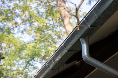 Gutter System with Leaf Guards