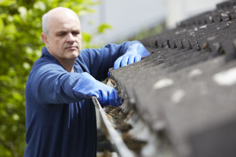 Gutter Maintenance and Inspection